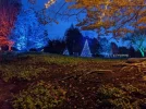 PXL_20251126_220103783.NIGHT.webp