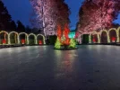 PXL_20251126_220354491.NIGHT.webp