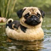 file_00000000d0847206bfe73dfcb3f6de18 (1).webp