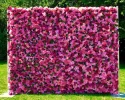 secret garden2.webp