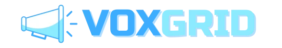 VOXGRID-3.webp