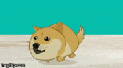 F6NzBbK.gif