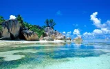 1629732.webp