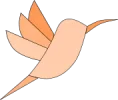 hummingbird 3 orange.webp