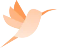 hummingbird 4.webp