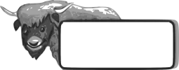 Yak 2 bw.webp