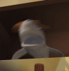 howdy.gif howdy.gif