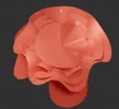 windows 11 flower.webp