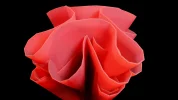 16 red glimpse.webp