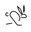 fast ss.webp