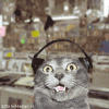catlisteningtotechnoonectasy.gif