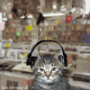 catlisteningtosteviewonder.gif