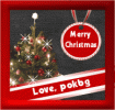 xmaspokbgani.gif