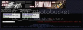 shady.webp