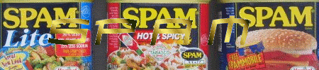 spam.gif