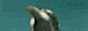 newaffiliate.gif