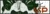 icon.webp