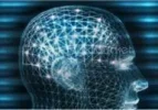 brain8.webp