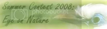 Summercontestbanner.webp Summercontestbanner.webp