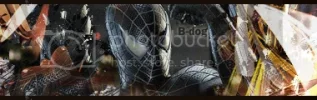 Bdog-3.webp
