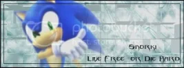 SonicSnorkiicopy.webp