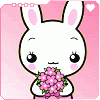 41.gif