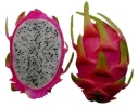 mizrahi-2.webp