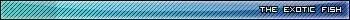 TEFUserBar2.webp