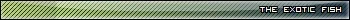 TEFUserBar4.webp