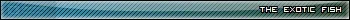 TEFUserBar8.webp