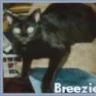 bree623