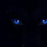 Iris Blue