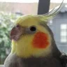 WaeV