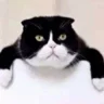 eeeeeez