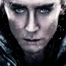 Cinna