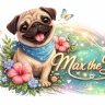 Max The Dog