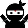 EfficientNinja