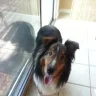 Brady