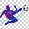 ProEleven