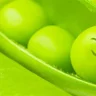 PeaPod