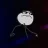No_Talent_Guy