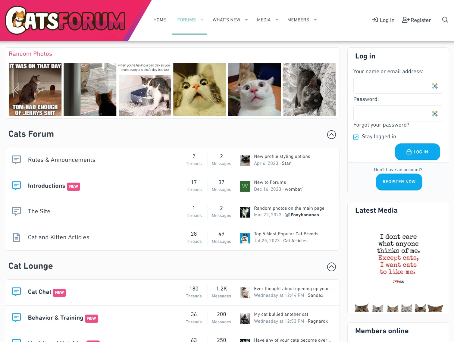 catsforum2.webp