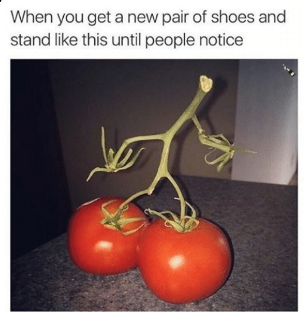 S2HPmPo.jpg