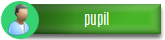 main-button-pupilSHADOW165.png