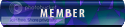 member.png