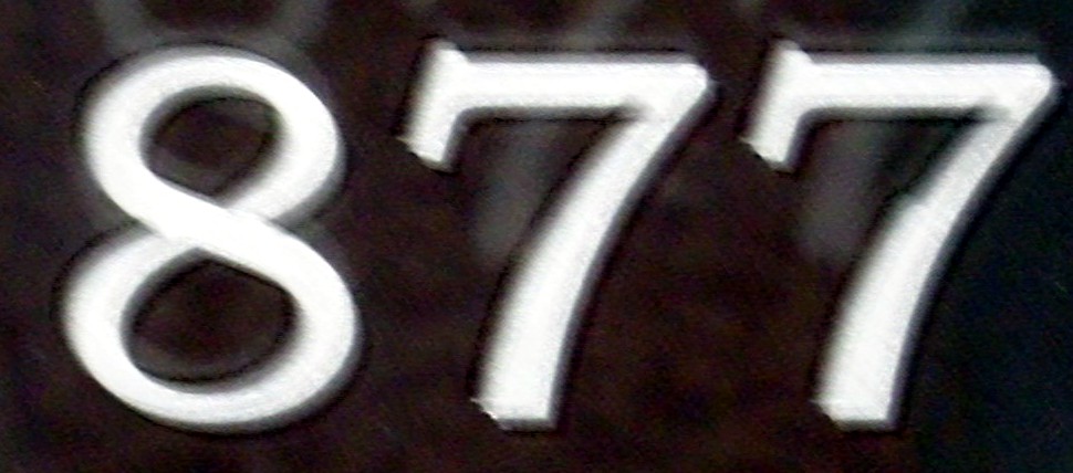n0877.jpg