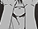 QELSI2T.png