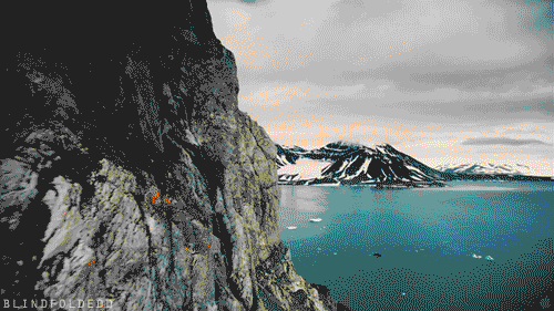 TYTNQvo.gif