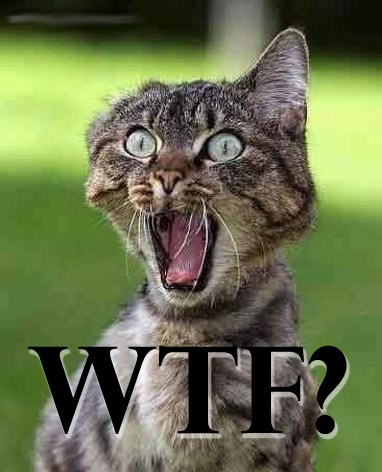 wtf_115258803.jpg