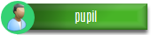 main-button-pupilSHADOW.png